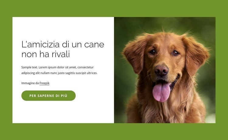 I cani sono amici incredibili per le persone Costruttore di siti web HTML