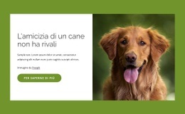 I Cani Sono Amici Incredibili Per Le Persone - Ispirazione Per Il Design Del Sito Web