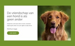 Honden Zijn Geweldige Vrienden Voor Mensen