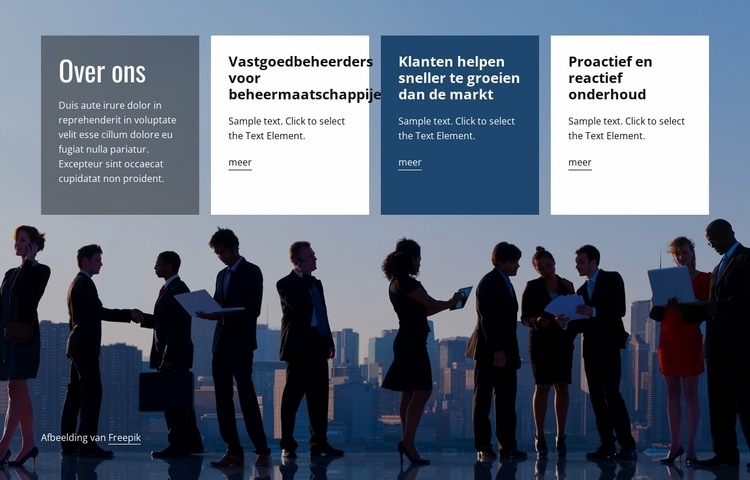 Adviesdiensten om uw bedrijf te transformeren Html Website Builder