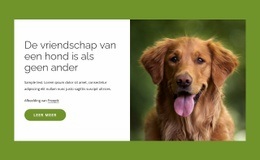 Honden Zijn Geweldige Vrienden Voor Mensen - Website-Ontwerp