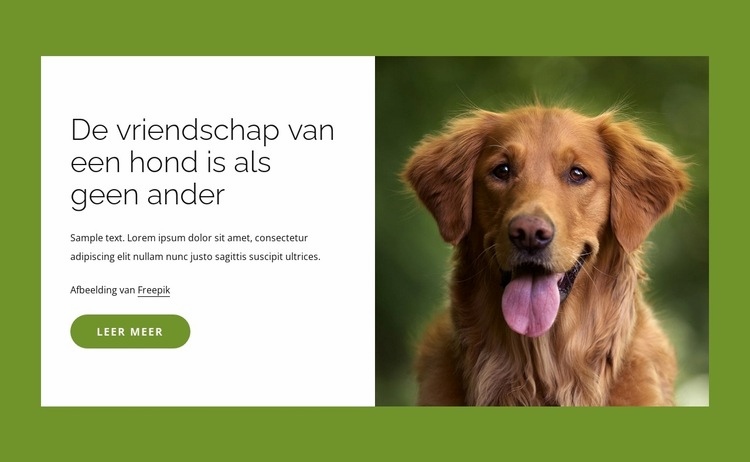 Honden zijn geweldige vrienden voor mensen Website ontwerp
