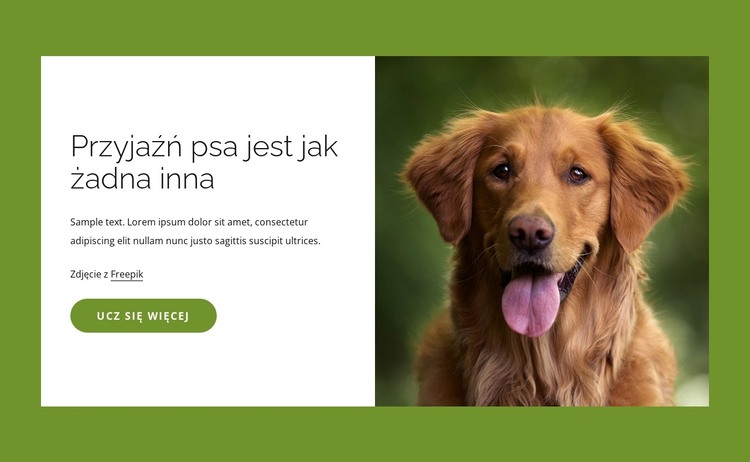 Psy są dla ludzi niesamowitymi przyjaciółmi Szablon HTML