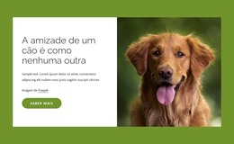 Os Cães São Amigos Incríveis Para As Pessoas - Modelo De Página HTML