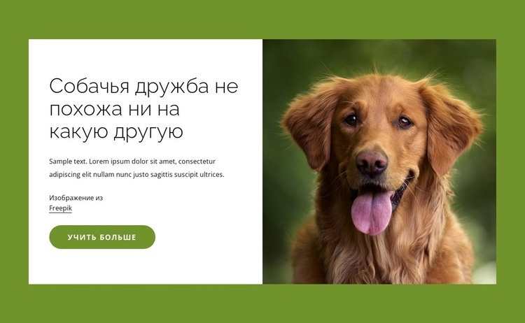 Собаки — невероятные друзья людей HTML5 шаблон