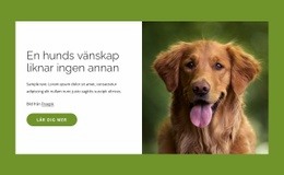 Hundar Är Otroliga Vänner Till Människor - Nedladdning Av HTML-Mall