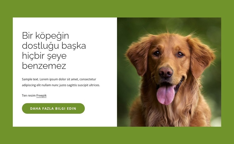 Köpekler insanlar için inanılmaz arkadaşlardır HTML Şablonu