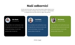 Ohlasy Odborníků – Nejlepší Téma WordPress