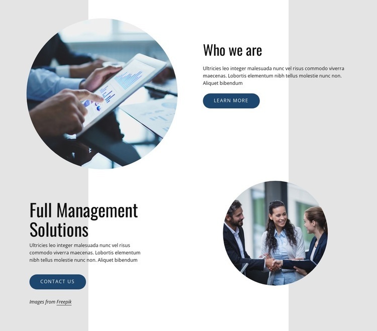 Full management solutions Elementor Template Alternative
