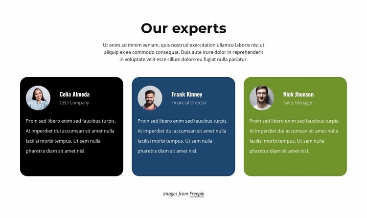 Testimonials from experts Homepage Design