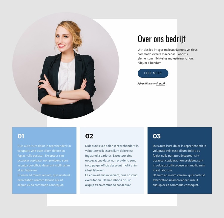 Het toonaangevende adviesbureau Joomla-sjabloon