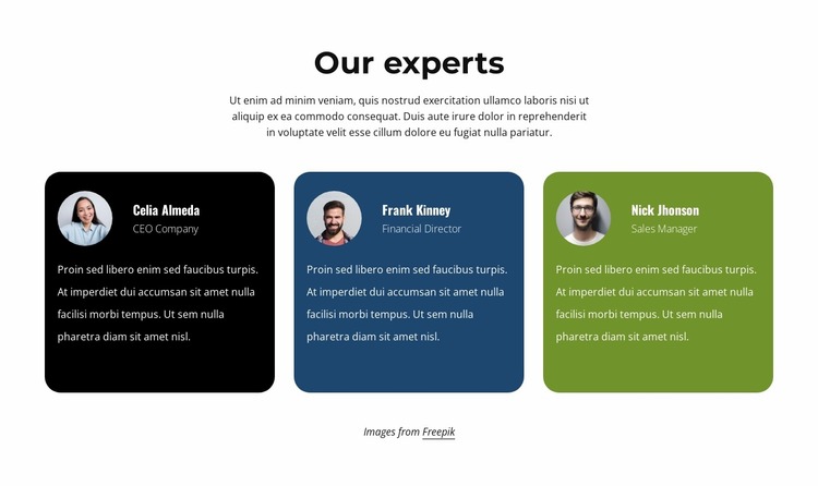 Testimonials from experts Website Mockup