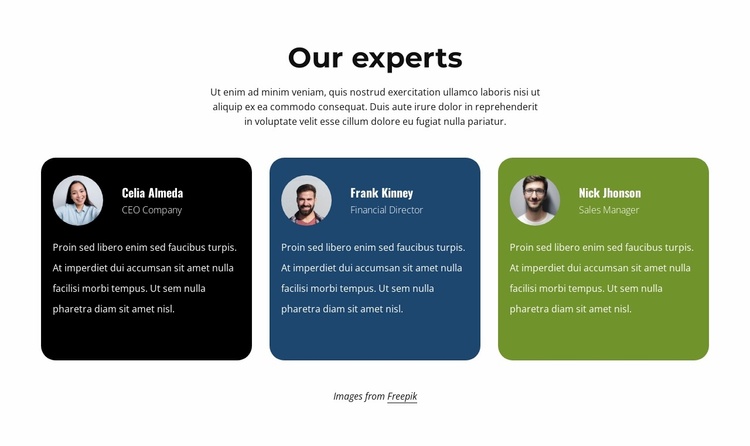 Testimonials from experts Landing Page
