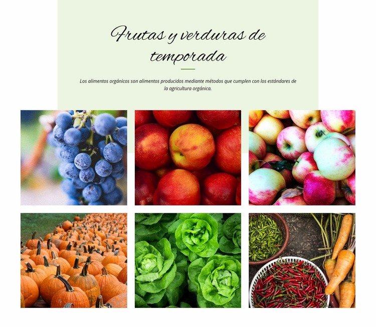 Frutas y verduras de temporada Plantillas de creación de sitios web