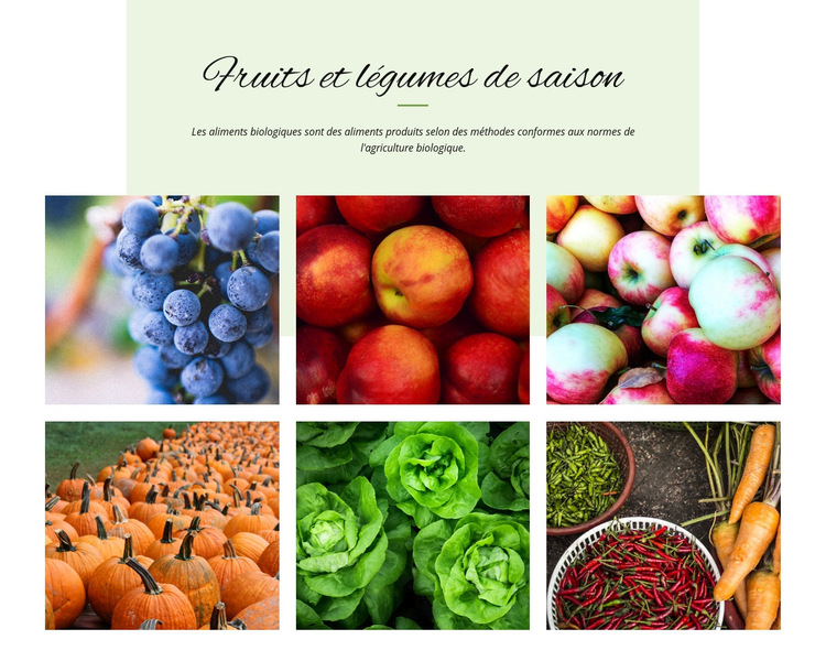 Fruits et légumes de saison Modèle de site Web