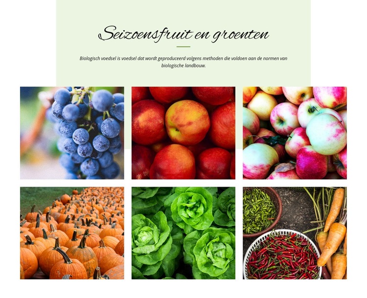 Seizoensgebonden groenten en fruit Website mockup