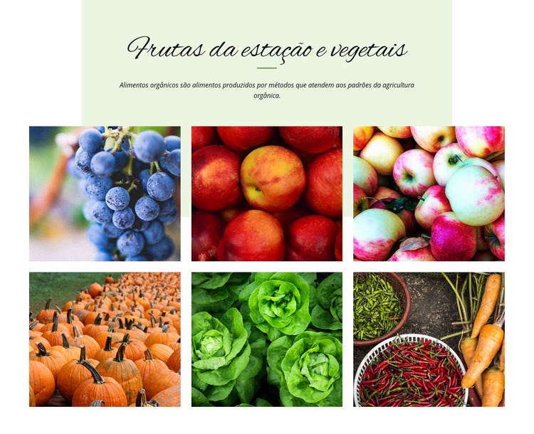 Frutas e vegetais sazonais Maquete do site