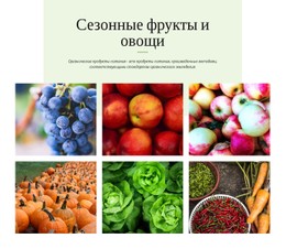 Сезонные Фрукты И Овощи Шаблоны HTML