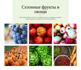 Сезонные Фрукты И Овощи