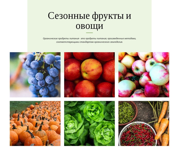 Сезонные фрукты и овощи Шаблоны конструктора веб-сайтов