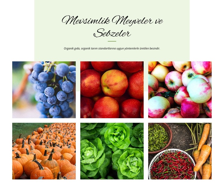 Mevsimlik meyve ve sebzeler Web Sitesi Mockup'ı