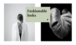 Fashionable Looks CSS Website Template