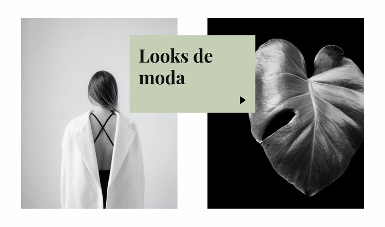 Looks de moda Página de destino