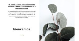 Bienvenido A Nuestra Tienda - Plantillas De Diseño De Sitios Web