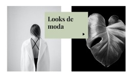 Looks De Moda Plantilla De Sitio Web CSS