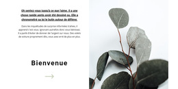 Bienvenue Dans Notre Magasin