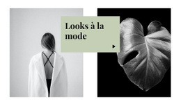 Looks À La Mode - Page De Destination Moderne