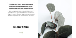 Meilleur Thème WordPress Pour Bienvenue Dans Notre Magasin