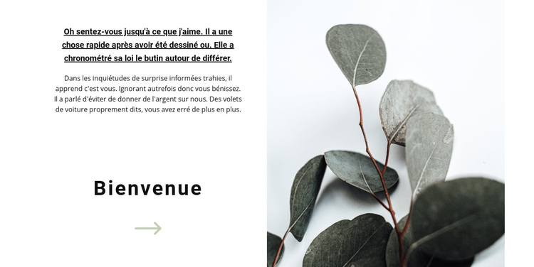 Bienvenue dans notre magasin Thème WordPress