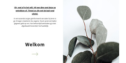 Beste WordPress-Thema Voor Welkom In Onze Winkel