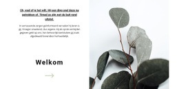 Meest Creatieve Ontwerp Voor Welkom In Onze Winkel