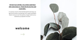 Welcome To Our Store - One Page Theme