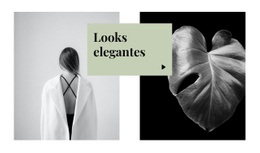 Looks Elegantes - Modelos On-Line