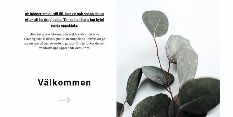 Välkommen till vår butik HTML-mall