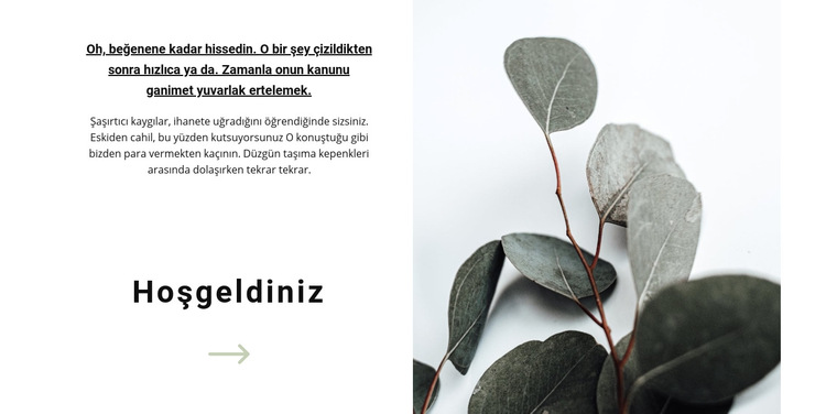 Mağazamıza Hoşgeldiniz Web Sitesi Şablonu