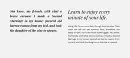 Headings and text in two columns - CSS Template by Nicepage
