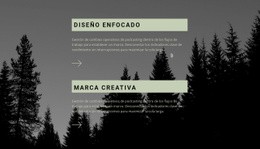 Diseño De Sitio Web Multipropósito Para Cómo Hacer Un Buen Diseño