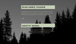 İyi Bir Tasarım Nasıl Yapılır - Web Şablonu