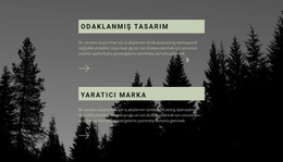 İyi Bir Tasarım Nasıl Yapılır - WordPress Teması Ilhamı