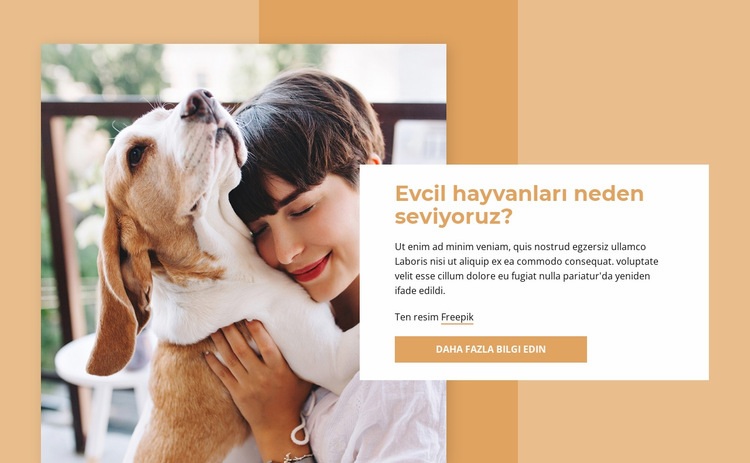 Evcil hayvan severler Web sitesi tasarımı