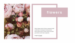 Website Inspiration For Wedding Roses