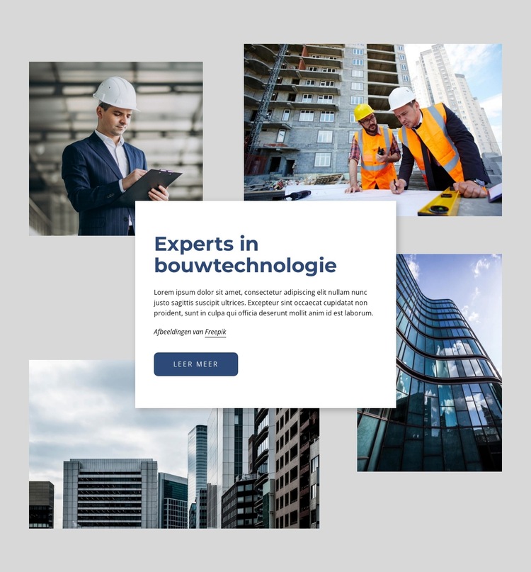 Wij bieden professionele expertise Website sjabloon