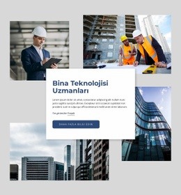 Profesyonel Uzmanlık Sağlıyoruz Için Ücretsiz Web Sitesi Modeli