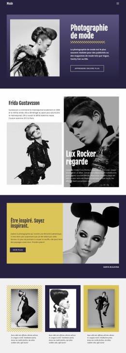 Superbe Modèle HTML5 Pour Photographie De Mode Style Classique