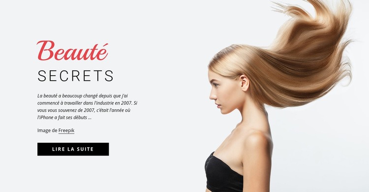 Secrets de beauté Maquette de site Web
