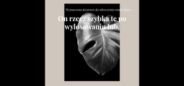 Zacznij Wszystko Jeszcze Raz - Niesamowity Motyw WordPress